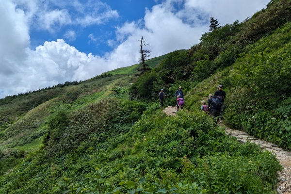 砂防新道（約5時間）