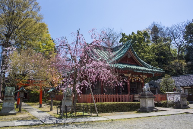 尾﨑神社3