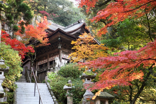 那谷寺　本殿紅葉