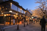 花見の茶店通り