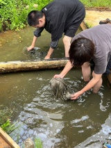 専用の田んぼで絞り染め