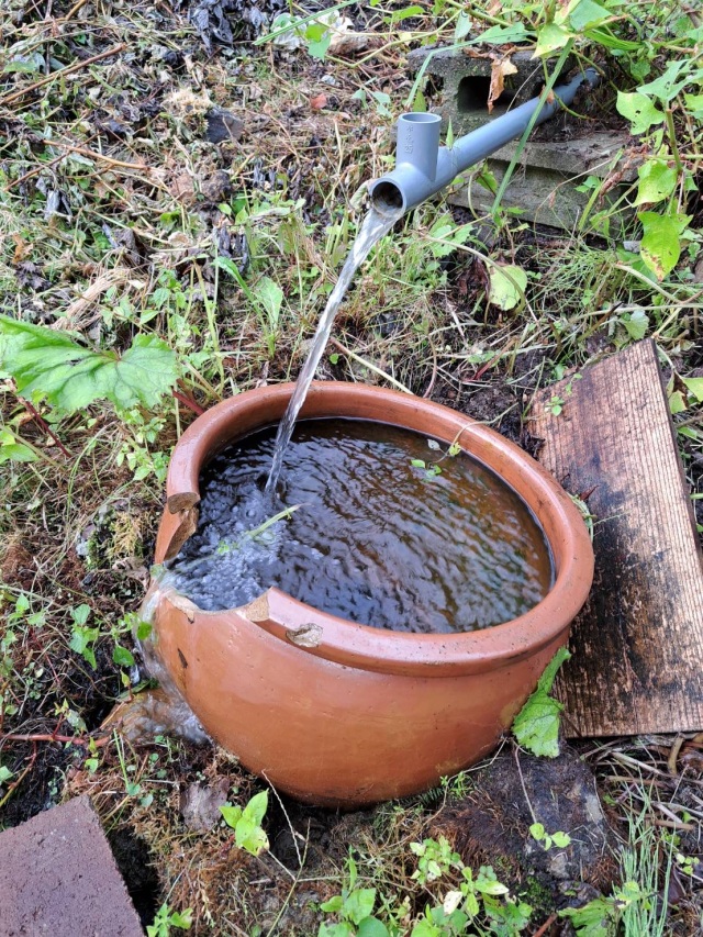 美味しい湧き水がたっぷり