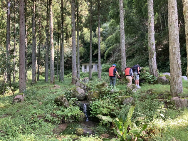 田んぼ染め「ろくら谷」